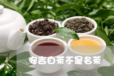 安吉白茶不是名茶/2023061708470