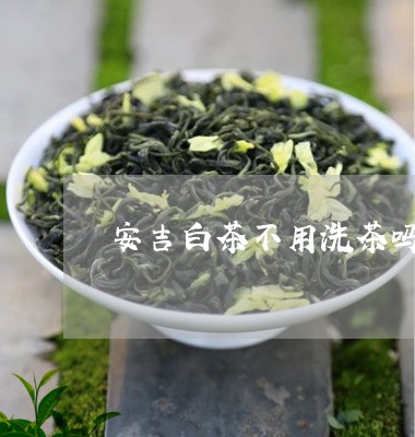 安吉白茶不用洗茶吗/2023102429560