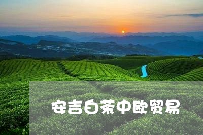 安吉白茶中欧贸易/2023061829725