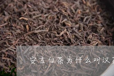 安吉白茶为什么叫汉茶/2023092997351