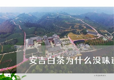 安吉白茶为什么没味道/2023092930480