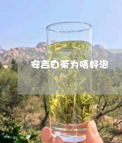 安吉白茶为啥好泡/2023061816161