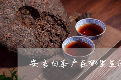 安吉白茶产在哪里是正品/2023102409072