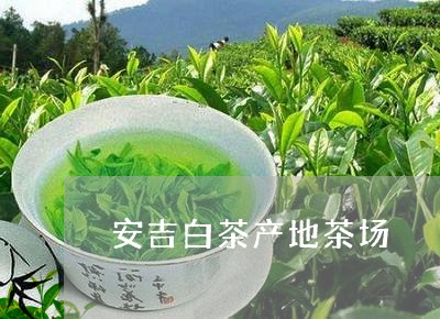 安吉白茶产地茶场/2023061851614