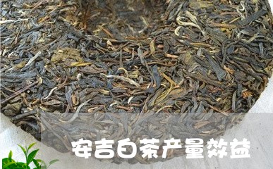 安吉白茶产量效益/2023061895372