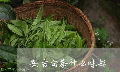 安吉白茶什么味好/2023061821695