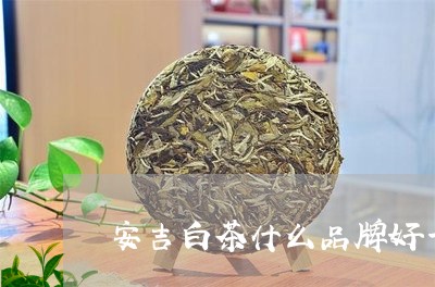 安吉白茶什么品牌好一些/2023102440693