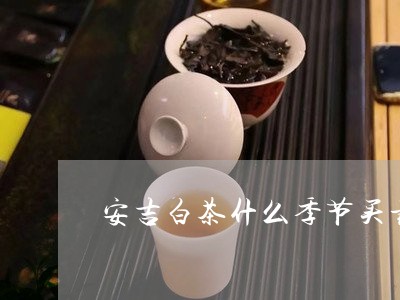 安吉白茶什么季节买最好/2023102474930