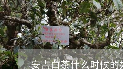 安吉白茶什么时候的好/2023092920385