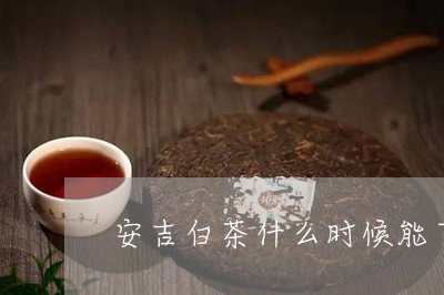 安吉白茶什么时候能下来/2023102423927