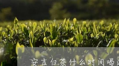 安吉白茶什么时间喝适合/2023102450694