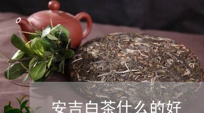 安吉白茶什么的好/2023061874040