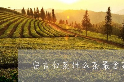 安吉白茶什么茶最含茶/2023092962725