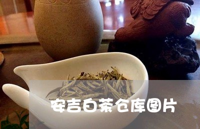 安吉白茶仓库图片/2023061834360