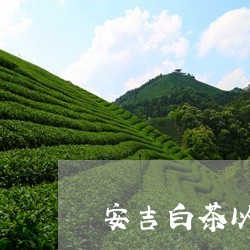 安吉白茶以茶观道/2023061828268