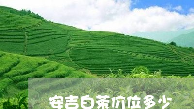 安吉白茶价位多少/2023061853603