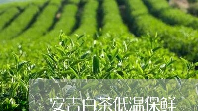 安吉白茶低温保鲜/2023061815130