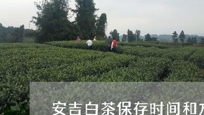 安吉白茶保存时间和方法是多少/2023111406162