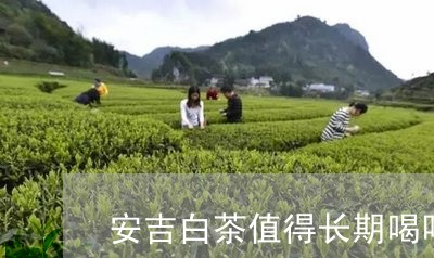 安吉白茶值得长期喝吗/2023092944846