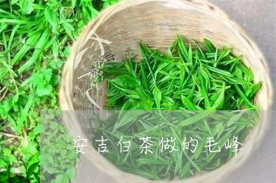 安吉白茶做的毛峰/2023061869592