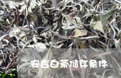 安吉白茶储存条件/2023061843845