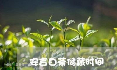 安吉白茶储藏时间/2023061820825