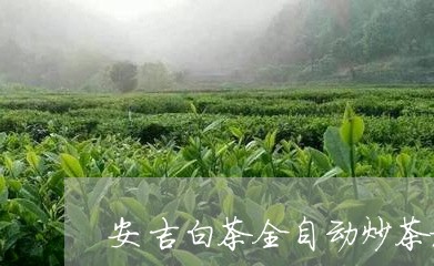 安吉白茶全自动炒茶机/2023092981506