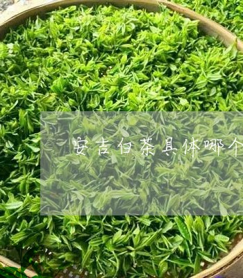 安吉白茶具体哪个位置/2023092912715