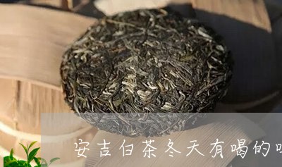 安吉白茶冬天有喝的吗/2023092926248