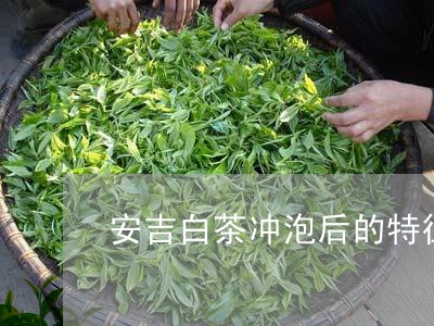 安吉白茶冲泡后的特征/2023092964048