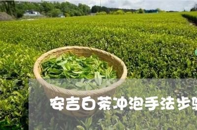 安吉白茶冲泡手法步骤/2023092953916