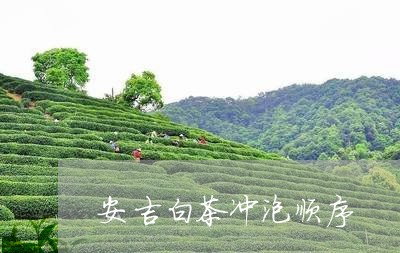 安吉白茶冲泡顺序/2023061874716