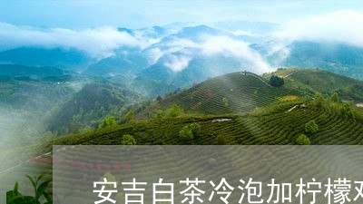 安吉白茶冷泡加柠檬鸡爪/2023102415143