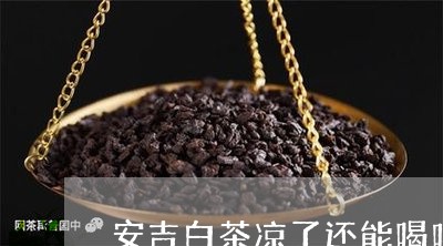 安吉白茶凉了还能喝吗/2023092943794