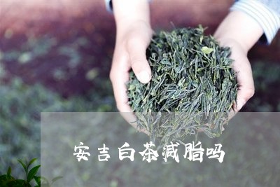 安吉白茶减脂吗/2023070146047