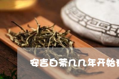 安吉白茶几几年开始有/2023092982029