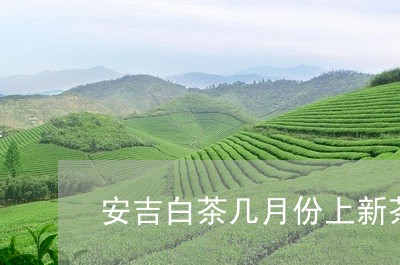 安吉白茶几月份上新茶/2023092935941