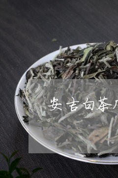 安吉白茶几月份有新茶/2023092974057