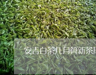 安吉白茶几月算新茶期/2023092910503