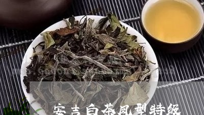 安吉白茶凤型特级/2023061815159