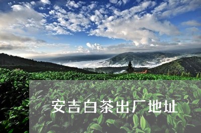 安吉白茶出厂地址/2023061804927