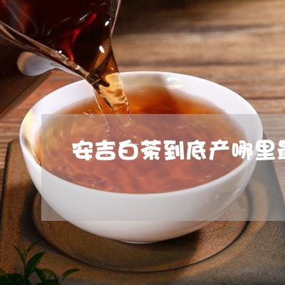 安吉白茶到底产哪里最好/2023102495948