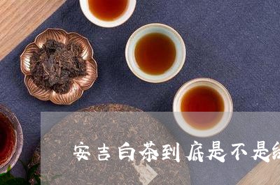 安吉白茶到底是不是绿茶/2023102450473