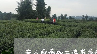 安吉白茶加工技术参数/2023092931614