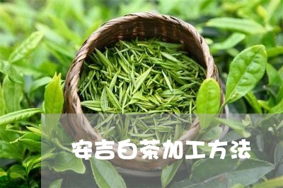 安吉白茶加工方法/2023061863935