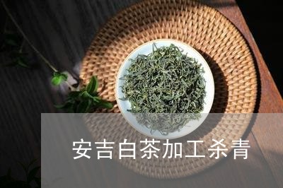 安吉白茶加工杀青/2023061826240