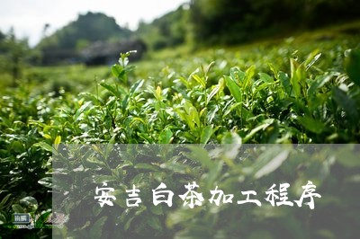 安吉白茶加工程序/2023061858379