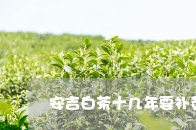 安吉白茶十几年要补芽/2023092997362