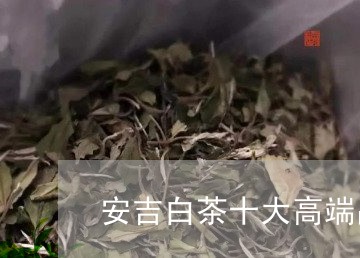 安吉白茶十大高端品牌/2023092958414