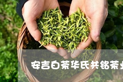 安吉白茶华氏共铭茶业/2023092967461